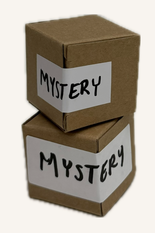 Two cardboard boxes with 'Mystery' labels on a white background